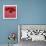 Red Poppies-Teo Malinverni-Art Print displayed on a wall