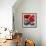 Red Poppies-Gerry Baptist-Framed Giclee Print displayed on a wall