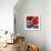 Red Poppies-Gerry Baptist-Framed Giclee Print displayed on a wall