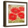 Red Poppies-Irena Orlov-Framed Art Print