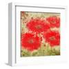 Red Poppies-Irena Orlov-Framed Art Print