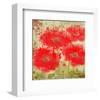 Red Poppies-Irena Orlov-Framed Art Print