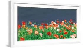 Red Poppies-null-Framed Photographic Print