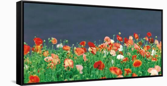 Red Poppies-null-Framed Stretched Canvas