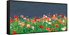 Red Poppies-null-Framed Stretched Canvas