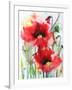 Red Poppies-Karin Johannesson-Framed Art Print