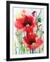 Red Poppies-Karin Johannesson-Framed Art Print