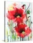 Red Poppies-Karin Johannesson-Stretched Canvas