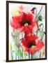 Red Poppies-Karin Johannesson-Framed Art Print