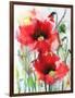 Red Poppies-Karin Johannesson-Framed Art Print