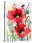 Red Poppies-Karin Johannesson-Stretched Canvas