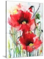 Red Poppies-Karin Johannesson-Stretched Canvas