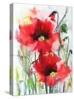 Red Poppies-Karin Johannesson-Stretched Canvas