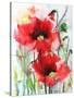 Red Poppies-Karin Johannesson-Stretched Canvas