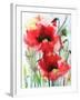 Red Poppies-Karin Johannesson-Framed Art Print