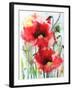 Red Poppies-Karin Johannesson-Framed Art Print