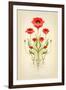 Red Poppies-null-Framed Art Print