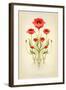 Red Poppies-null-Framed Art Print