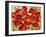 Red Poppies-Marietta Cohen Art and Design-Framed Giclee Print