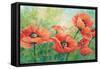 Red Poppies-Wendy Kroeker-Framed Stretched Canvas