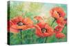 Red Poppies-Wendy Kroeker-Stretched Canvas