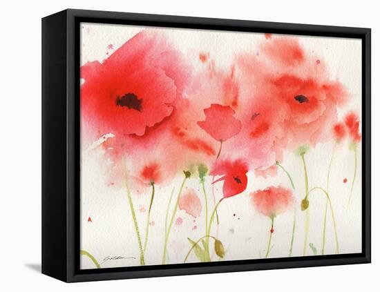 Red Poppies-Sheila Golden-Framed Stretched Canvas