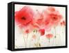 Red Poppies-Sheila Golden-Framed Stretched Canvas