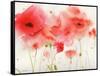 Red Poppies-Sheila Golden-Framed Stretched Canvas