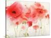 Red Poppies-Sheila Golden-Stretched Canvas