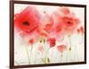 Red Poppies-Sheila Golden-Framed Art Print