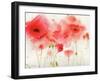 Red Poppies-Sheila Golden-Framed Art Print