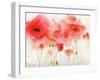 Red Poppies-Sheila Golden-Framed Art Print