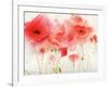 Red Poppies-Sheila Golden-Framed Art Print