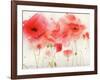 Red Poppies-Sheila Golden-Framed Art Print