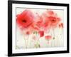 Red Poppies-Sheila Golden-Framed Art Print