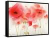 Red Poppies-Sheila Golden-Framed Stretched Canvas