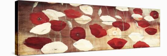 Red Poppies-Jace Grey-Stretched Canvas