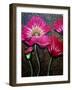 Red Poppies-Cherie Roe Dirksen-Framed Giclee Print