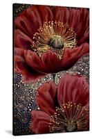 Red Poppies-Cherie Roe Dirksen-Stretched Canvas