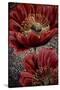 Red Poppies-Cherie Roe Dirksen-Stretched Canvas