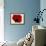 Red Poppy 01-Tom Quartermaine-Framed Giclee Print displayed on a wall