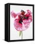 Red poppy blossom-Josh Westrich-Framed Stretched Canvas