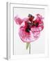 Red poppy blossom-Josh Westrich-Framed Photographic Print