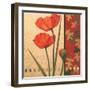 Red Poppy Damasque-TC Chiu-Framed Art Print