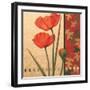 Red Poppy Damasque-TC Chiu-Framed Art Print