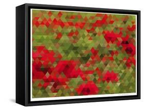 Red Poppy Dream-Natasha Wescoat-Framed Stretched Canvas