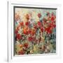 Red Poppy Field II-Tim O'toole-Framed Art Print