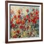 Red Poppy Field II-Tim O'toole-Framed Art Print