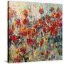 Red Poppy Field II-Tim O'toole-Stretched Canvas