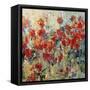 Red Poppy Field II-Tim O'toole-Framed Stretched Canvas